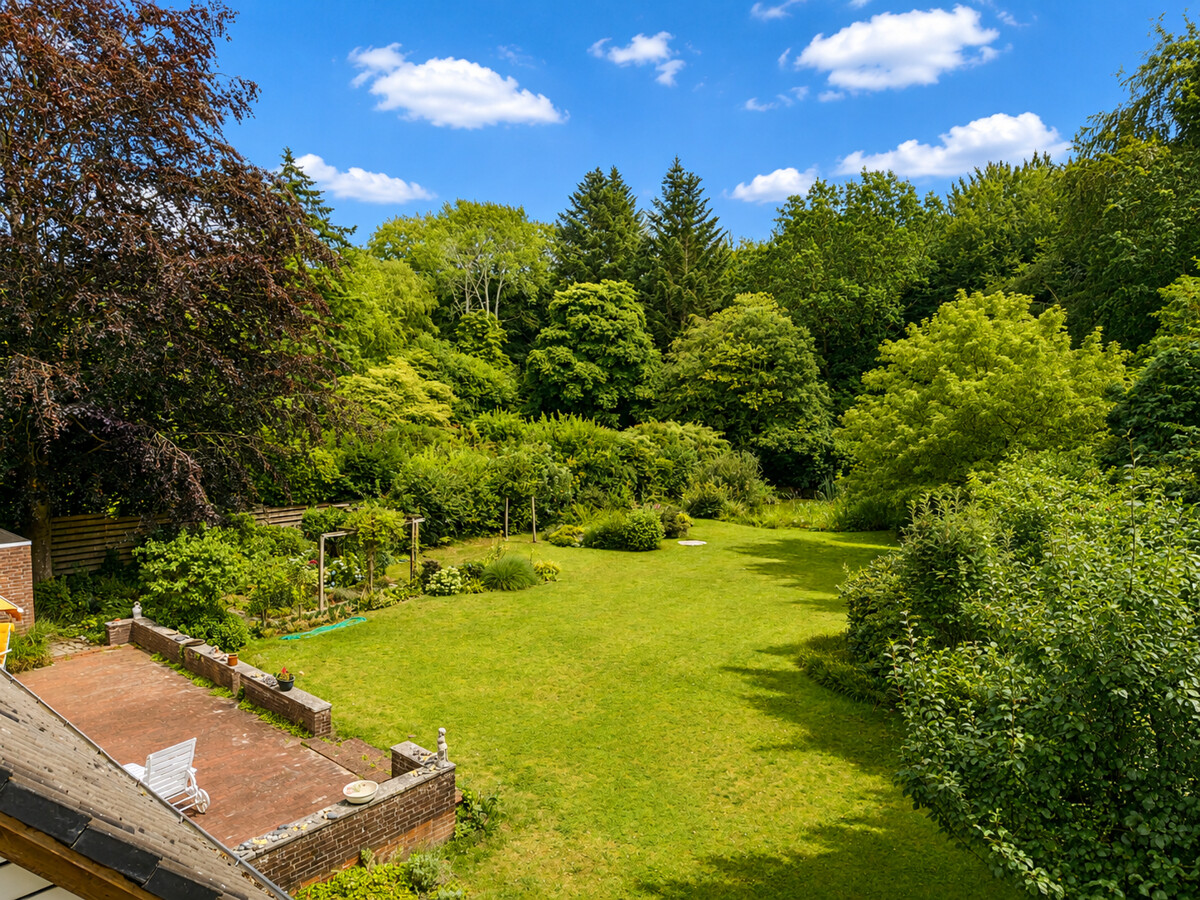 Blick in den Garten