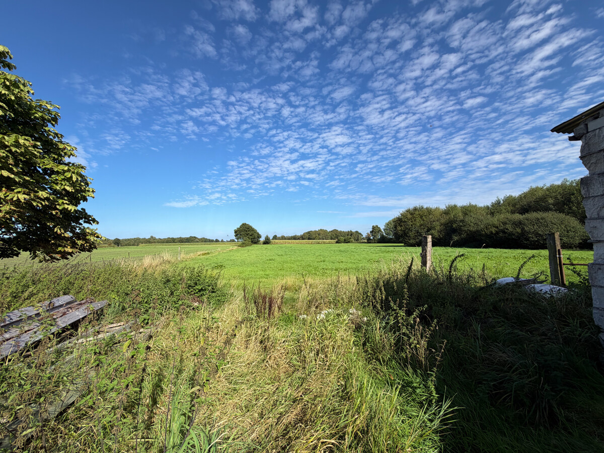 Land