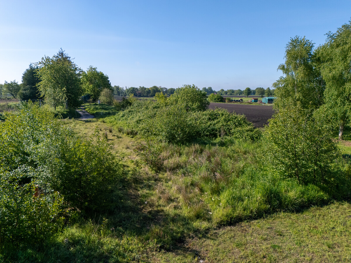 Blick auf das Grundstück