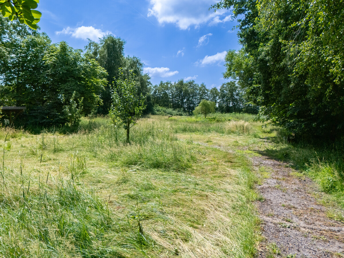 Gartenansicht