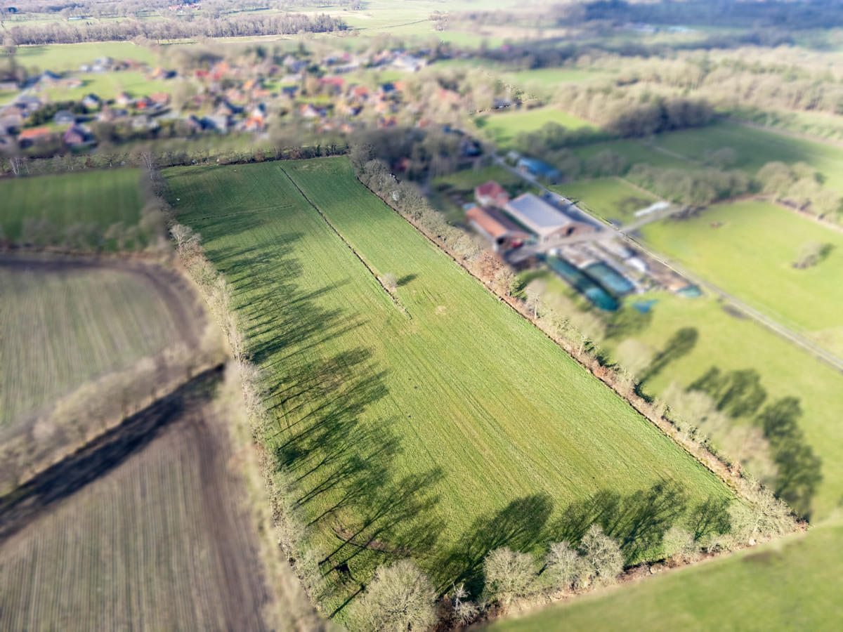 Blick auf das Grundstück