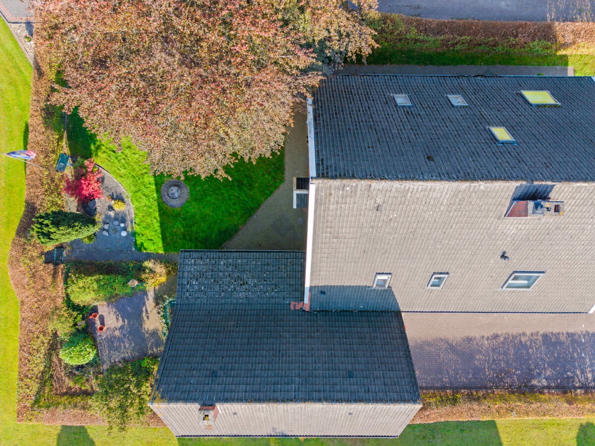 Blick in den Garten